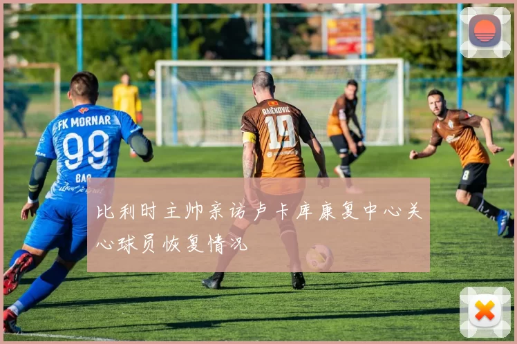 比利时主帅亲访卢卡库康复中心关心球员恢复情况